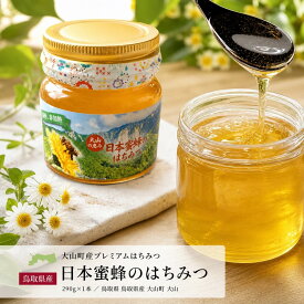 【ふるさと納税】MS-81 大山町産プレミアムはちみつ「日本蜜蜂のはちみつ」（290g×1本） 鳥取県 鳥取県産 大山町 大山 贈り物 料理 お菓子作り