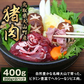 【ふるさと納税】GB-01 猪肉モモ 400g イノシシ いのしし 猪 ジビエ 大山