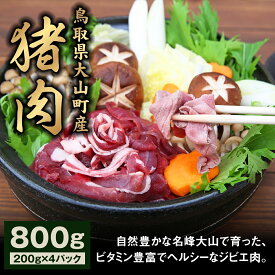 【ふるさと納税】GB-02 猪肉モモ 800g イノシシ いのしし 猪 ジビエ 大山