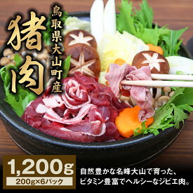 【ふるさと納税】GB-03 猪肉モモ 1.2kg イノシシ いのしし 猪 ジビエ 大山
