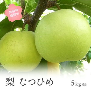 �y�ӂ邳�Ɣ[�Łz�ȂЂ� [��]�i5kg���j2026�N8�����{�o�ח\�聃���ʌ��聄 �� �Ȃ� �t���[�c ���挧�암�� �y��s�\��z