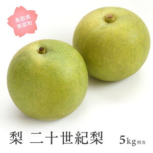 �y�ӂ邳�Ɣ[�Łz��\���I���i5kg���j 2026�N8�����{�`9����{�o�ח\�聃���ʌ��聄 �� �Ȃ� �t���[�c ���挧�암�� �y��s�\��