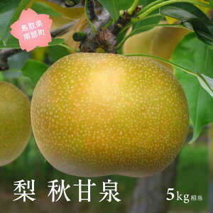 �y�ӂ邳�Ɣ[�Łz�H�Ð�m���n�i5kg���j2026�N9���o�ח\�聃���ʌ��聄 �� �Ȃ� �t���[�c ���挧�암�� �y��s�\��z