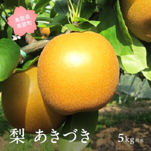 �y�ӂ邳�Ɣ[�Łz�����Â��m���n�i5kg���j2026�N9���o�ח\�聃���ʌ��聄 �� �Ȃ� �t���[�c ���挧�암�� �y��s�\��z