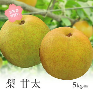 �y�ӂ邳�Ɣ[�Łz�Ñ��m���n�i5kg���j2026�N9�����{�o�ח\�聃���ʌ��聄 �� �Ȃ� �t���[�c ���挧�암�� �y��s�\��z