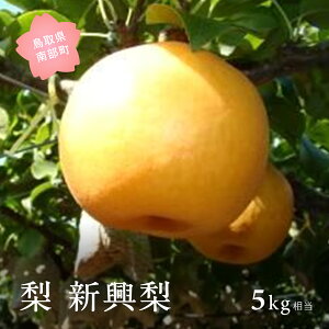 �y�ӂ邳�Ɣ[�Łz�V�����i5kg���j2026�N10���o�ח\�聃���ʌ��聄 �� �Ȃ� �t���[�c ���挧�암�� �y��s�\��z