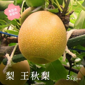 �y�ӂ邳�Ɣ[�Łz�yYA09�z���H���i5kg���j 2026�N10�����{�o�ח\�聃���ʌ��聄 �� �Ȃ� �t���[�c ���挧�암�� �y��s�\��z