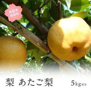 �y�ӂ邳�Ɣ[�Łz���������i5kg���j 2026�N11���o�ח\�� �����ʌ��聄 �� �Ȃ� �t���[�c ���挧�암�� �y��s�\��z