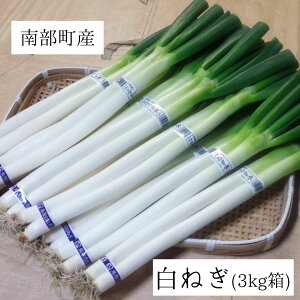 yӂ邳Ɣ[Łz11o׊Jn\聄암Y ˂itj3kg \ 挧암