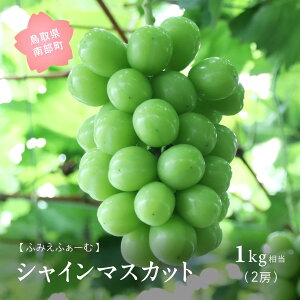 �y�ӂ邳�Ɣ[�Łz�V���C���}�X�J�b�g ��1kg�����ʌ��聄 9�����{�`�o�ח\�� 2026�N���n�� �}�X�J�b�g �t���[�c �Ԃǂ� ���� �u�h�E ���挧�암�� �y��s�\��z