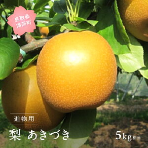 yӂ邳Ɣ[ŁzÂmniip5kgj2025N914E16E19E23oח\聃ʌ聄  Ȃ t[c 挧암