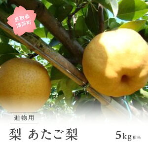 yӂ邳Ɣ[Łziip5kgj 2025N11oח\ ʌ聄  Ȃ t[c 挧암
