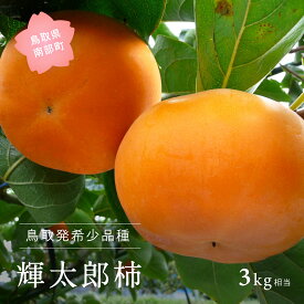 【ふるさと納税】輝太郎 [柿]（3kg箱）2026年10月出荷予定 ＜数量限定＞ 柿 かき カキ フルーツ 鳥取県南部町