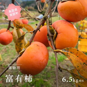 yӂ邳Ɣ[ŁzxL`iip6.5kgj2025N11oח\聃ʌ聄 `  JL t[c 挧암