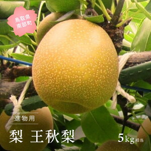yӂ邳Ɣ[ŁzHiip5kgj 2025N10{oח\聃ʌ聄  Ȃ t[c 挧암