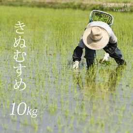 【ふるさと納税】令和5年産 鳥取県南部町産 きぬむすめ 10kg 特A 米 お米 こめ おこめ コメ 白米 精米 玄米 無洗米 真空パック 備蓄 備蓄米 長期保存 ドットクルー