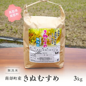 yӂ邳Ɣ[Łzߘa7NYEVā挧암Y  ʂނ 3kg 3L     R LkX  JčX