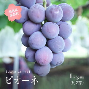 yӂ邳Ɣ[ŁzsI[l 1kgʌ聄 9oח\ 2025Nn Ԃǂ uhE  t[c 挧암