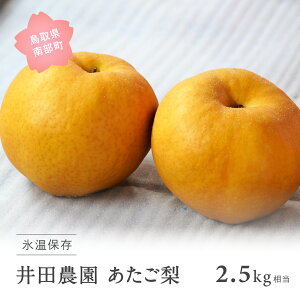 yӂ邳Ɣ[Łz挧암Y@c_̂[] i2.5kgj11`3oח\聄  Ȃ   t[c Xۑ 挧암