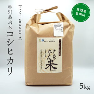 ys\zyӂ邳Ɣ[ŁzV ߘa7NY CƓVn̂߂ݕ(RVqJ) 5kg GRt@[HOSOYA 挧쒬