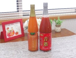 �y�ӂ邳�Ɣ[�Łz���~�闢���쒬�@���n�g�}�g�W���[�X�Ƃɂ񂶂�W���[�X�@2�{