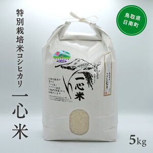 yӂ邳Ɣ[ŁzyVāE\zߘa7NY St@[ ʍ͔| RVqJ 5kg    挧쒬 Ђ ʍ͔|