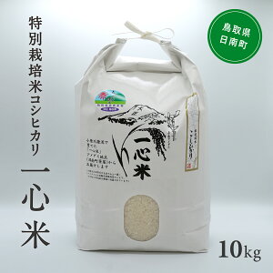 yӂ邳Ɣ[ŁzyVāE\zߘa7NY St@[ ʍ͔| RVqJ 10kg    挧쒬 Ђ ʍ͔|