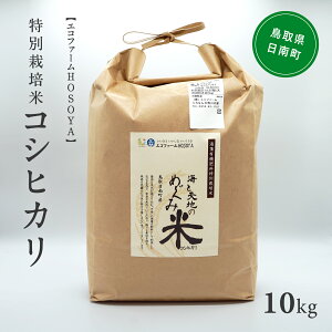 ys\zyӂ邳Ɣ[ŁzV ߘa7NY CƓVn̂߂ݕāiRVqJj 10kg GRt@[HOSOYA 挧쒬