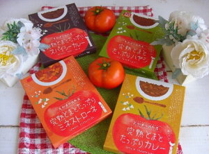 �y�ӂ邳�Ɣ[�Łz���~�闢���쒬�̊��n�Ƃ܂Ƃ����Ղ背�g���g4��4�Z�b�g