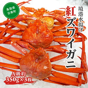 ys\zyӂ邳Ɣ[Łz`g g킢ɁiA350g×3jOM-10 xjYCKj gYCKj 킢 YCKj {C {CxjYCKj 킢I  I Jj 