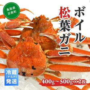 ys\zyӂ邳Ɣ[Łz{CtKji400g`500g2j① OM-19-1 tKj t  I Jj 挧` 䗈` ݂⋙`