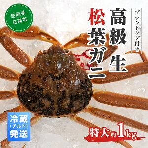 ykCEEzszys\zyӂ邳Ɣ[Łzuh^OttKji1kg1jOM-26 ① ^Ot    tKj t  I Jj 