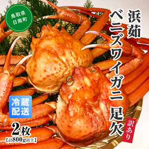 yӂ邳Ɣ[Łzysz󂠂 l䥃xjYCKj y2Ev800gȏz X xjYCKj gYCKj 킢 YCKj {C {CxjYCKj 킢