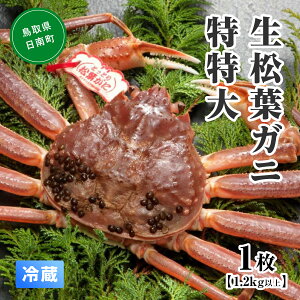 ys\zyӂ邳Ɣ[ŁzykCEEsztKj  y1E1.2kgȏz X tKj t  I Jj 挧`