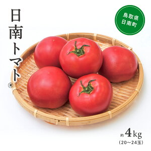 yӂ邳Ɣ[ŁzykCE֔szyԌzg}g(o^W)@4kgi20`24ʁ^j g}g Ƃ܂ 挧 쒬