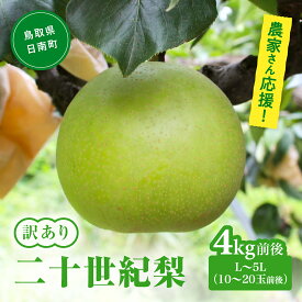 【ふるさと納税】【令和9年産先行予約】2027年 農家さん応援 訳あり 二十世紀梨 L～5L 4kg前後(10～20玉前後) 梨 なし フルーツ 鳥取 高間商店