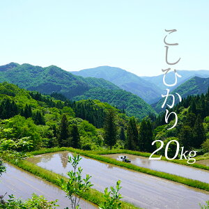 yӂ邳Ɣ[ŁzyāEāEđΉzy5kgE10kgE20kgzV ߘa7NY 쒬   (ȂȂڂ) RVqJ ^pbN    挧쒬 Ђ