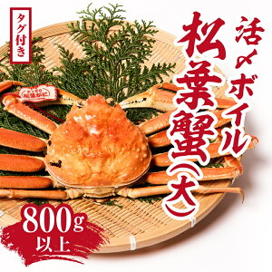 yӂ邳Ɣ[Łzy^OtzY{CtI() 800gȏ tKj t Jj  ` }c ① 挧쒬