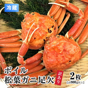 y11{ȍ~zyӂ邳Ɣ[Łzysz󂠂 {CtKj y2Ev800gȏz X tKj t  I Jj 挧` ① 挧쒬