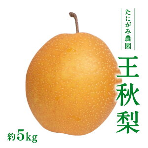 y11{ȍ~zyӂ邳Ɣ[Łzɂݔ_ H 5kg (7ʁ`14)  Ȃ t[c ʕ  挧   Ȃ iV