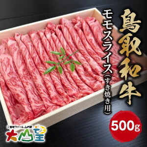 yӂ邳Ɣ[ŁzR] a XCXiĂpj 500g  a  