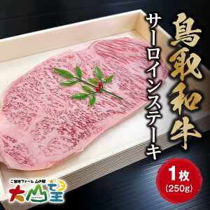 【ふるさと納税】大山望 鳥取和牛 サーロインステーキ 1枚250g 牛肉 和牛 お肉 ステーキ