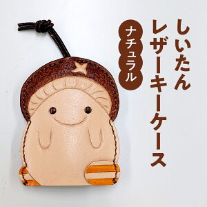 �y�ӂ邳�Ɣ[�Łz���v �������񃌃U�[�P�[�X (�J���[�F�i�`������ �C�G���[) �{�v �v�̋��� ���������� �L�[�P�[�X ���U�[ ���U�[�J�[�r���O ���挧 ���쒬