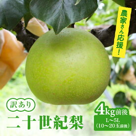 【ふるさと納税】【令和9年産先行予約】農家さん応援 訳あり 二十世紀梨 L～5L 4kg前後(10～20玉前後) 梨 なし フルーツ 鳥取 高間商店
