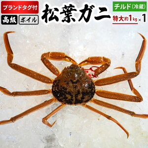 ys\zyӂ邳Ɣ[Łzuh^Ot{CtKji1kg1jOM-25 ^Ot tKj t  I Jj 挧` 䗈`