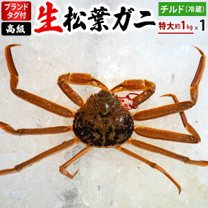 ys\zyӂ邳Ɣ[Łzuh^OttKji1kg1jOM-26 ^Ot tKj t  I Jj 挧` 䗈`