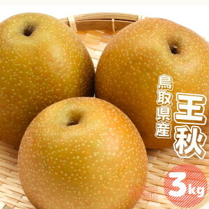 yӂ邳Ɣ[ŁzH  3kg 3~8ʑO 挧Y s\t 2025NH~n Ȃ 3L TM46 0697