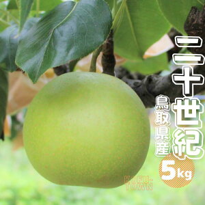 �y�ӂ邳�Ɣ[�Łz�� ��\���I �G ��5kg 10�`20�ʑO�� ���挧�Y ��s�\���t 2026�N�H���n�� �Ȃ�5�L�� TM23 0679