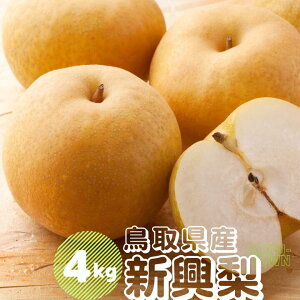 yӂ邳Ɣ[ŁzV 4kg 5`16ʑO s\t 2025NH~n 挧Y iV 4L 񂱂Ȃ TM39 0694