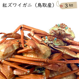 楽天市場 賞味期限 アウトレット 産地 都道府県 鳥取 の通販